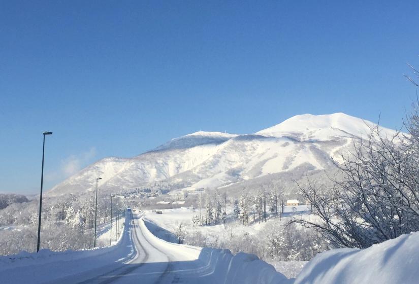 A snow-covered road winds through a winter landscape toward a large snow-capped mountain. Street lamps line the road, and snow-covered trees dot the surrounding area under a bright blue sky