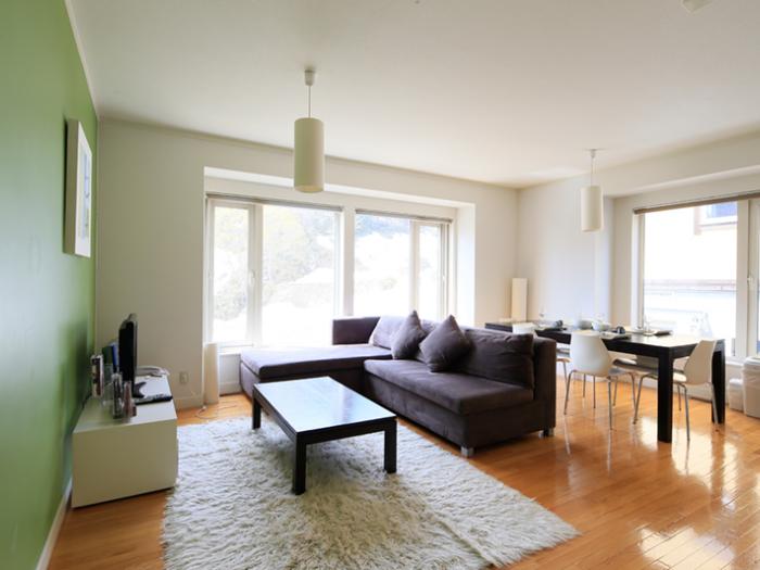 First Tracks - brown sofa with white rug and coffee table brown sofa with white rug and coffee table