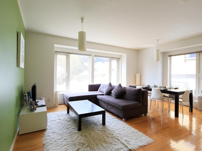 brown sofa with white rug and coffee table