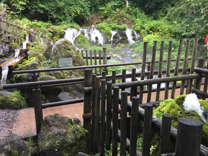A waterfall with green moss and stakes in foreground