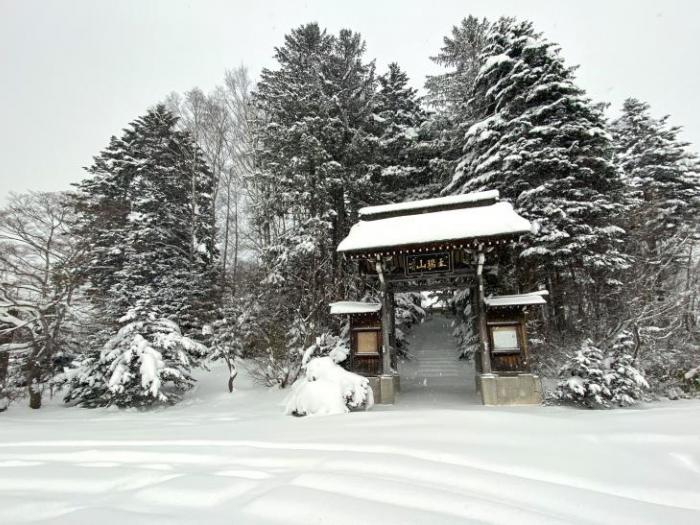 Shrine gates in front of a snowy forest