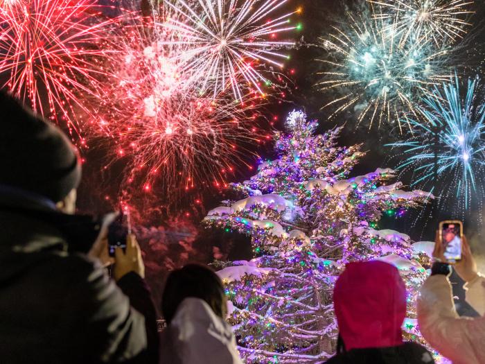 Fireworks behind a Christmas tree