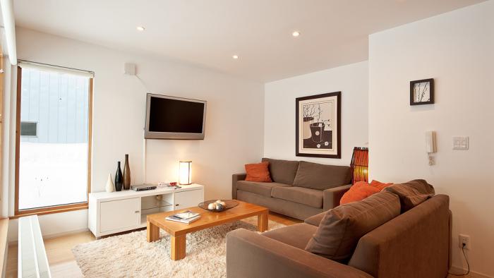 Brown sofas, red pillows and coffee table