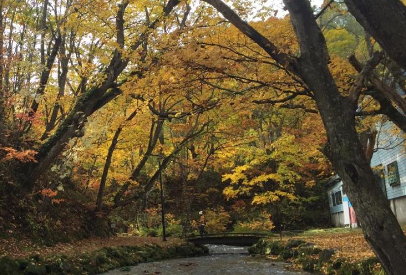 An autumnal scene with fall colours and a bridge across a river