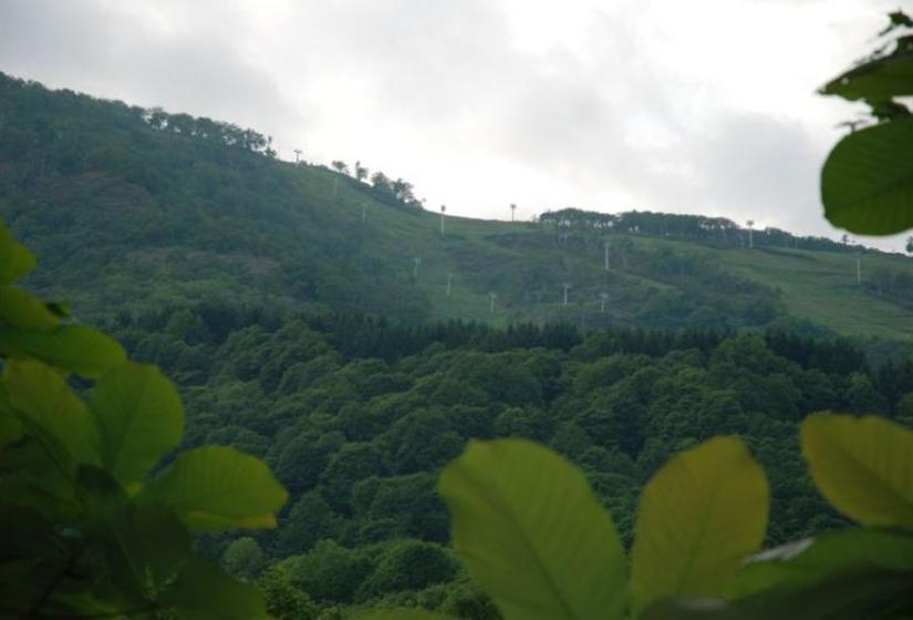 Hirafu Center 4 lift and Onne ski run