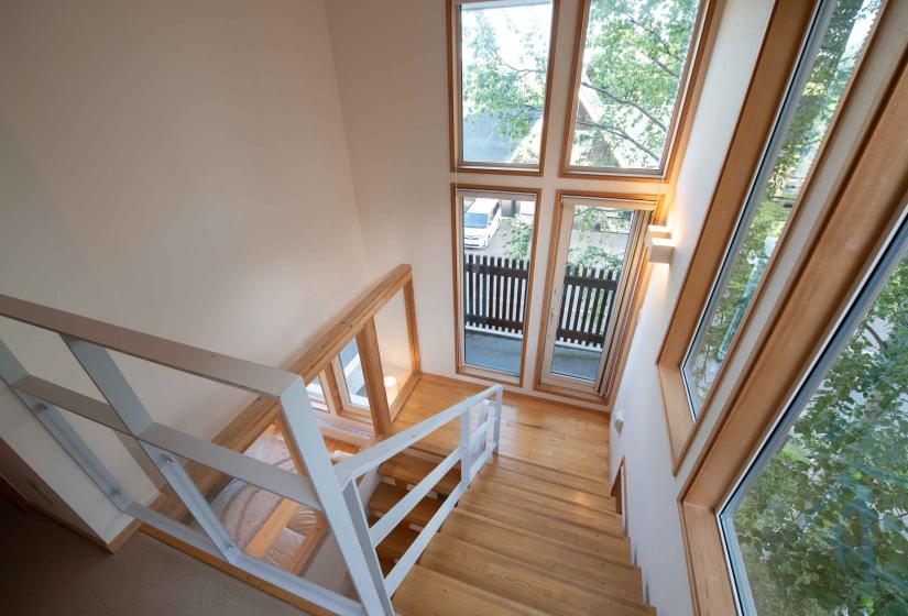 view down the stairs with the forest view