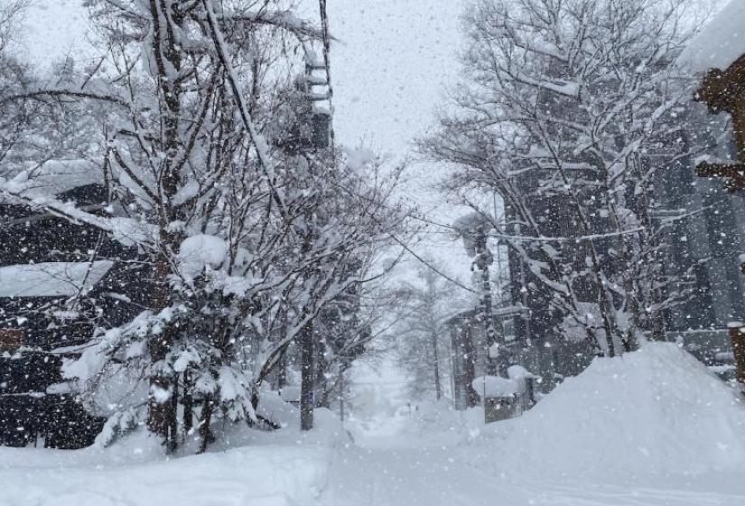 hirafu_village_snow.jpg Heavy snow blanketing trees and a narrow street