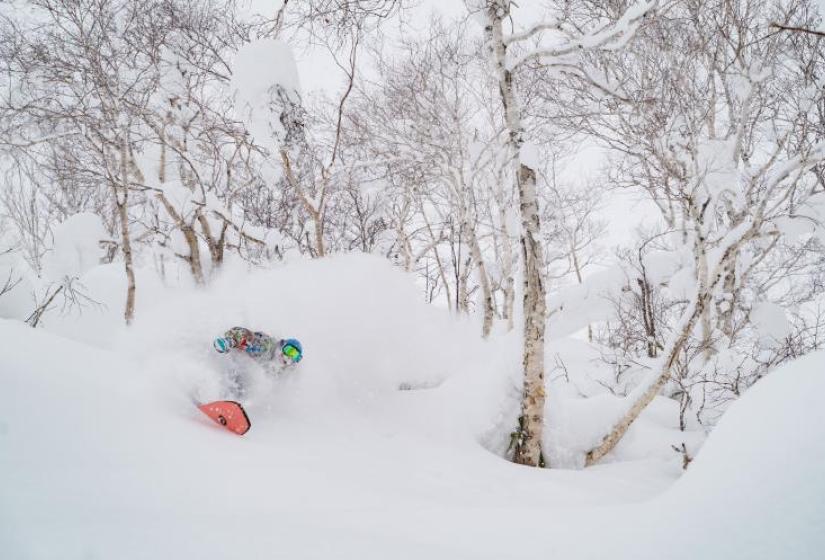 A snowboarder makes a deep turn in the tress