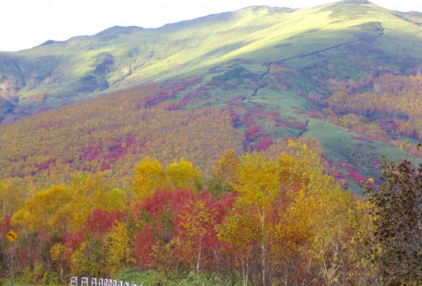 Weiss ski area Niseko