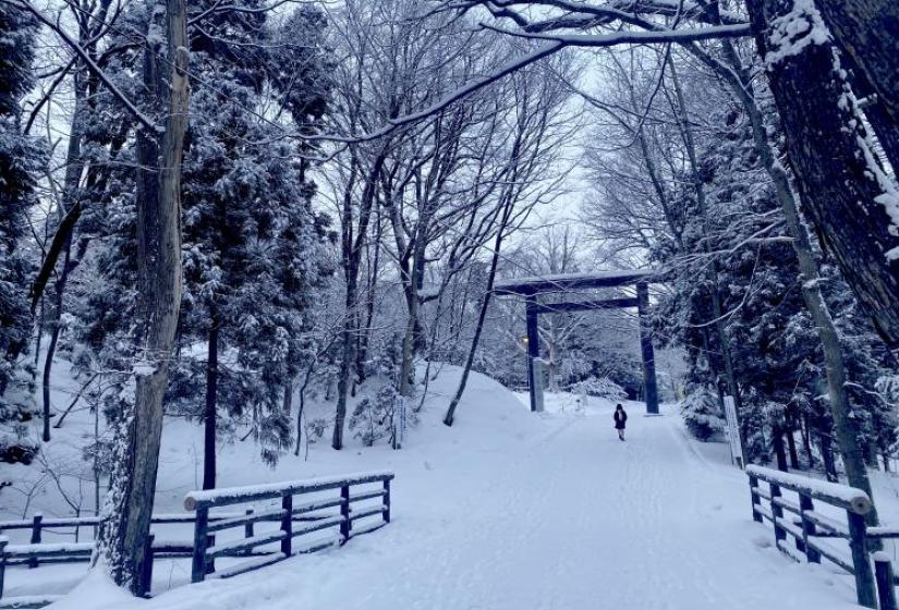 A school kid walks beneath a tori gate.