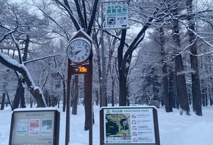 A clock and sign board in a snowy park