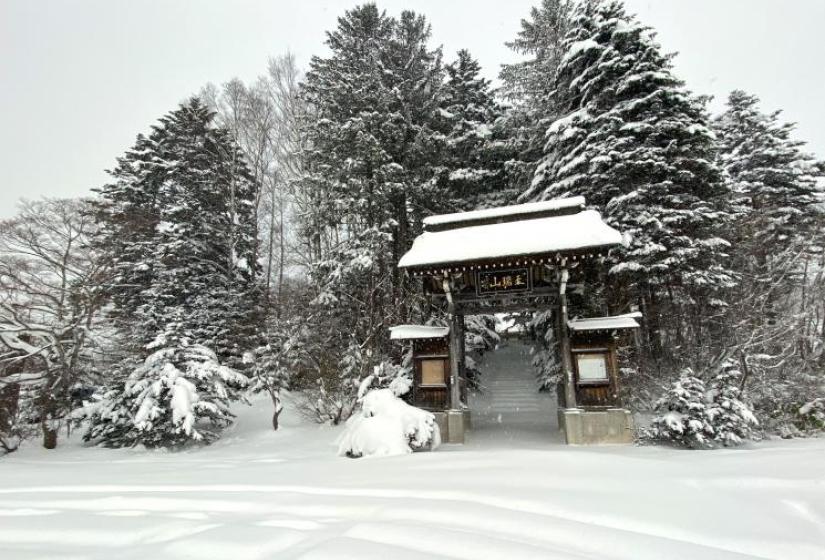 Shrine gates in front of a snowy forest