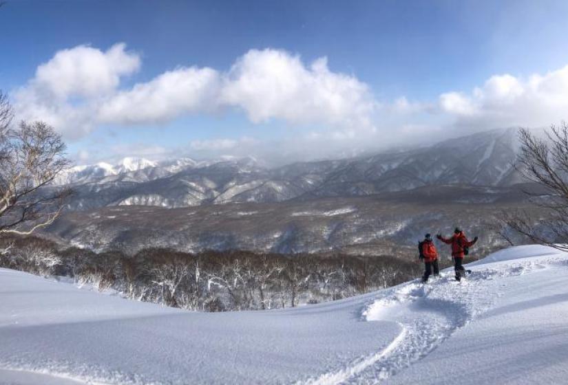 Snowy vista, with skiers in foreground