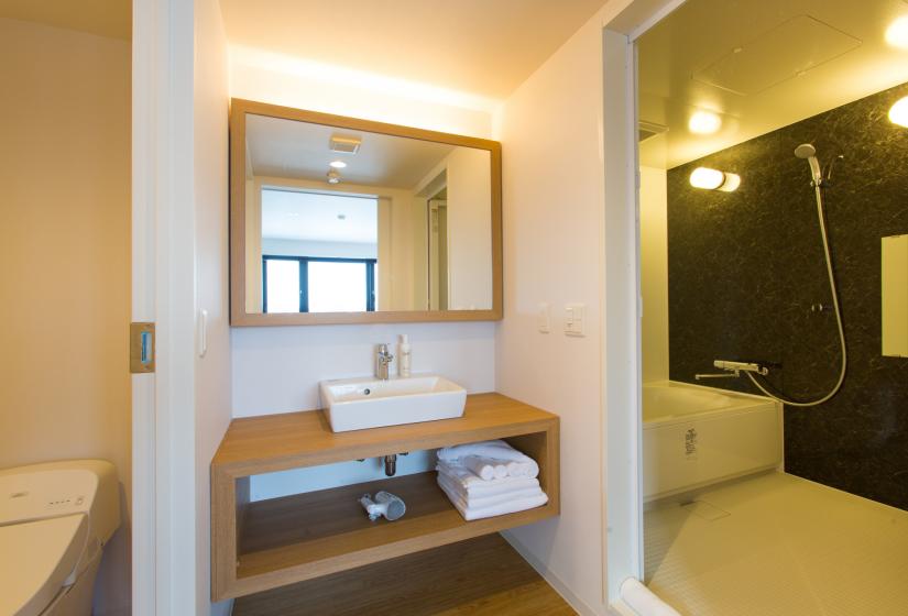 wash basin under large mirror