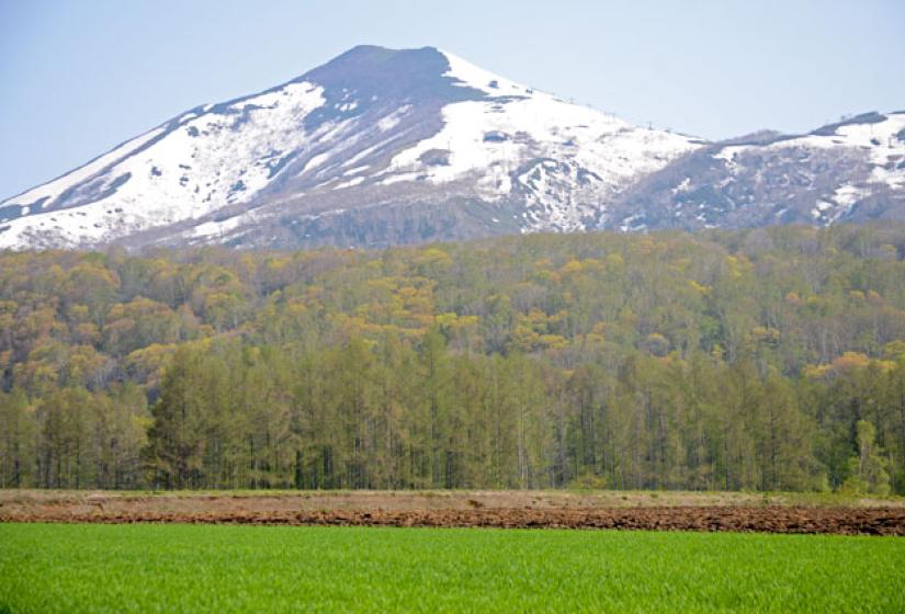 Green fields with Annupuri in the background