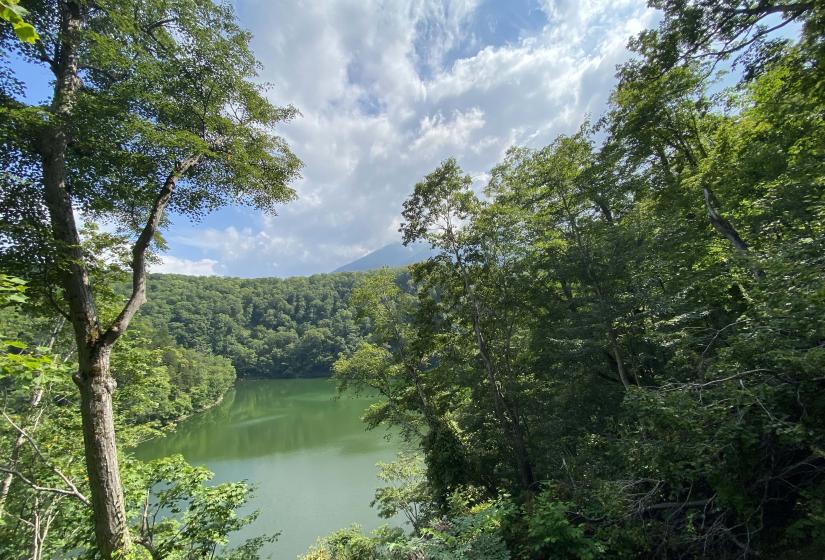 A view through the forest to a small hidden lake.