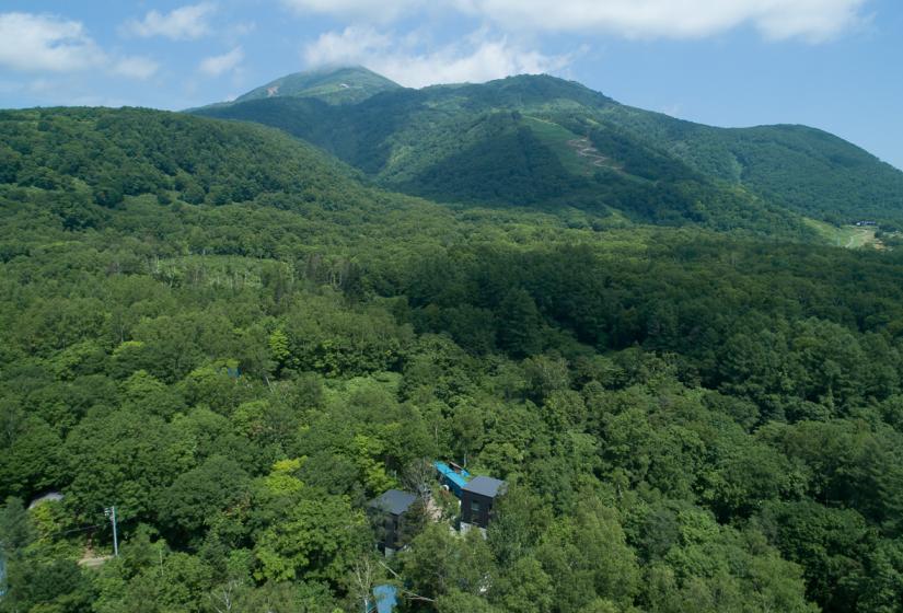 Luh green forest covers rolling hills with a house bottom centre