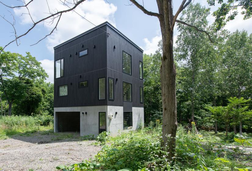 A black coloured 3 story house framed by trees
