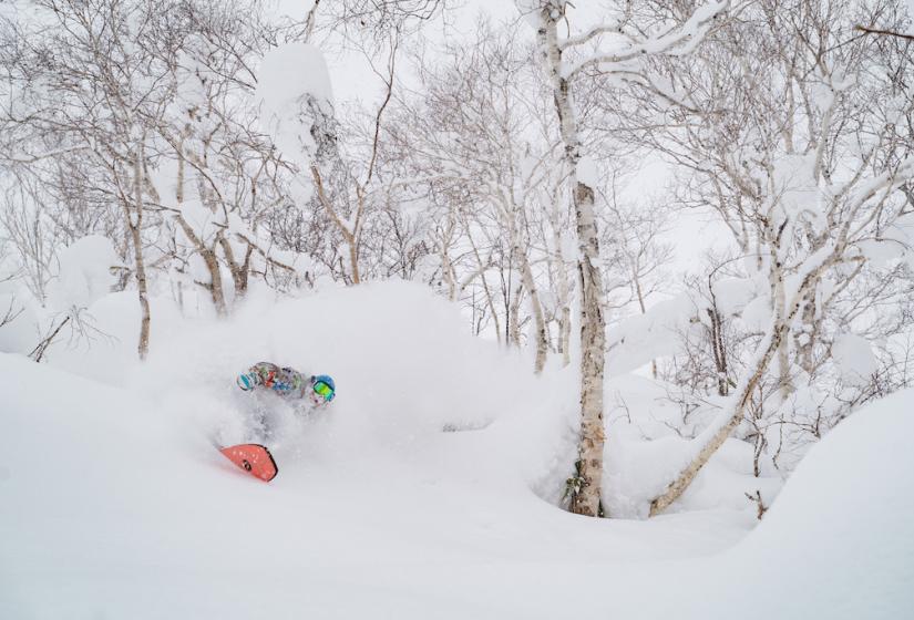 Deep powder dreams soon to come true A snowboarder with an orange snowboard makes a deep turn in the powder