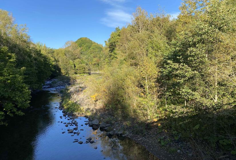 The road from Sobetsu to Kita Yu Zawa and on to Niseko follows the picturesque Osaru River A river winding through forested banks with sun on the right bank.