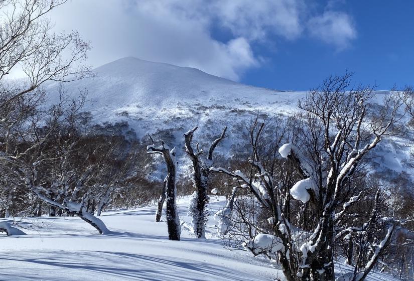 Annupuri peak from below with a view through snowy trees