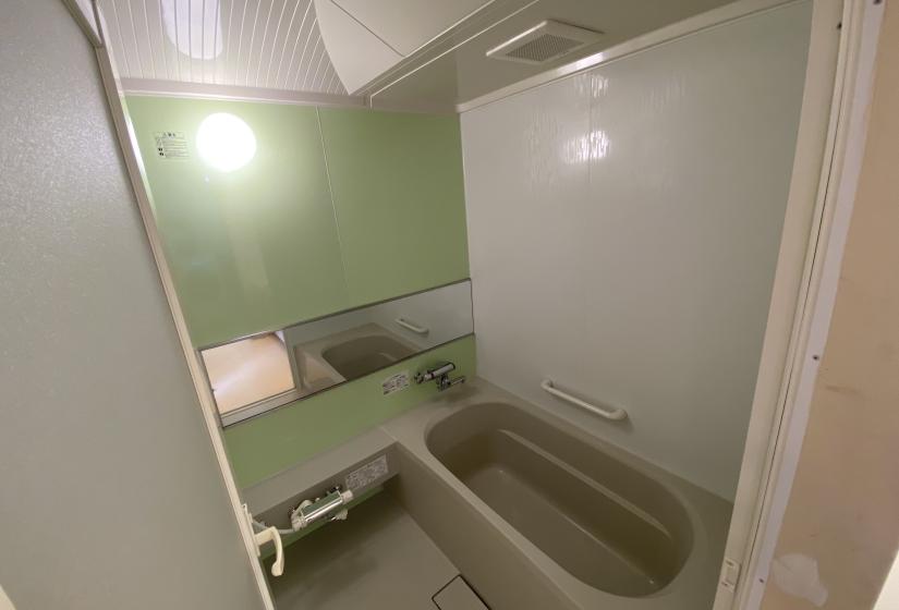 Aster B bath room with green walls and bath tub.