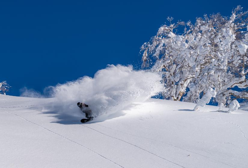 A snowboarder makes a turn in powder snow