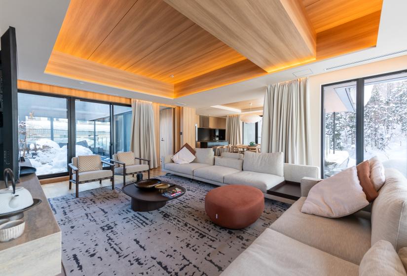 Penthouse living room