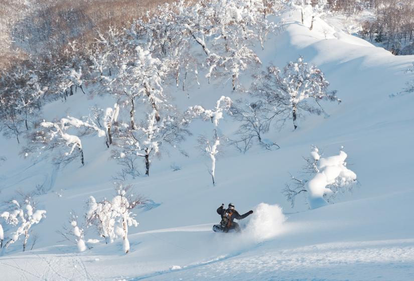 Imagine an exhilarating snowmobile ride up and turns like these all the way down! A snowboarder makes a turn in the powder