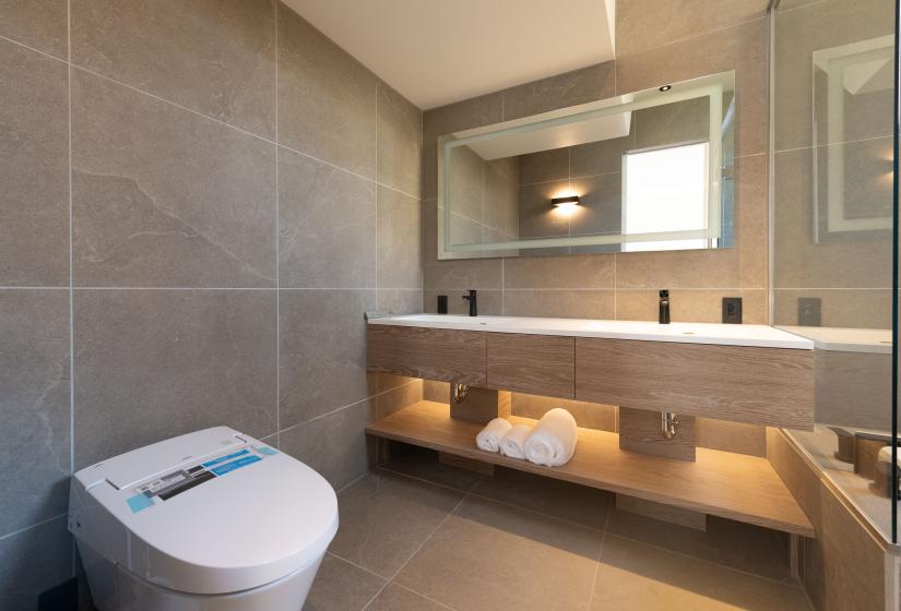 A toilet and basin